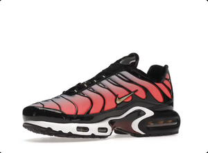 Nike Air Max Plus Sisterhood