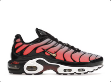 Load image into Gallery viewer, Nike Air Max Plus Sisterhood
