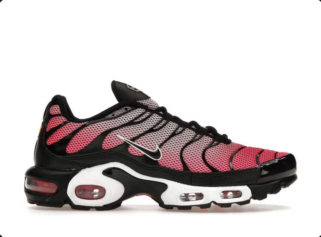 Nike Air Max Plus All Day