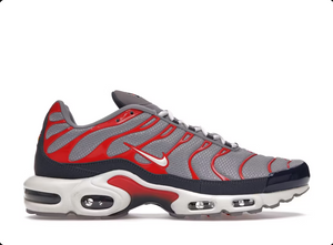 Nike Air Max Plus USA Grey