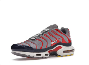 Nike Air Max Plus USA Grey