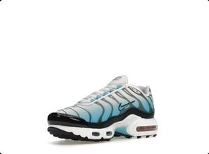 Nike Air Max Plus Ice (GS)