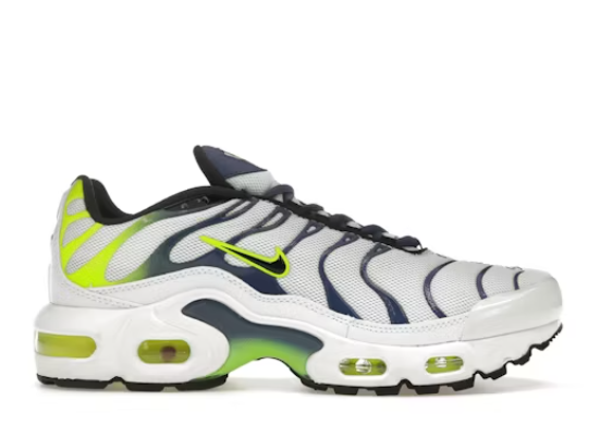 Nike Air Max Plus White Forest Green (GS)