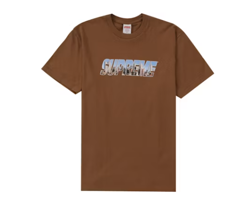 Supreme Gotham Tee Light Brown