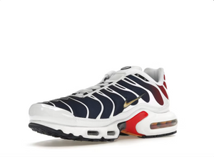 Nike Air Max Plus PSG