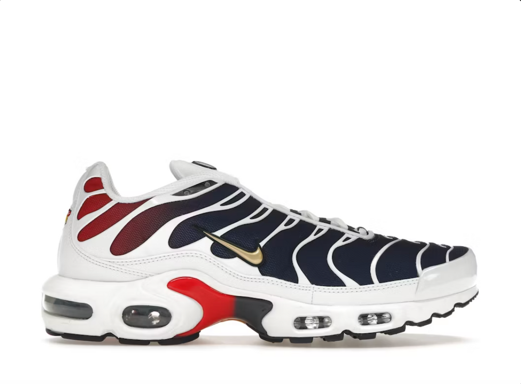 Nike Air Max Plus PSG