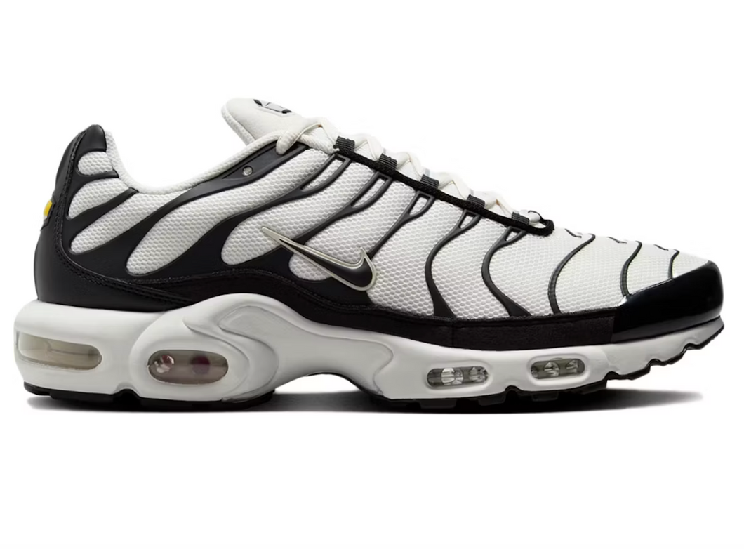 Nike Air Max Plus Panda