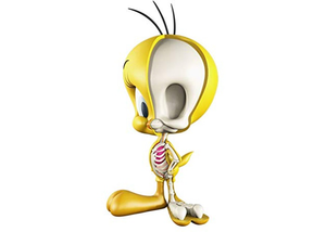 Jason Freeny XXRay Looney Tunes Tweety Bird Figure Multi